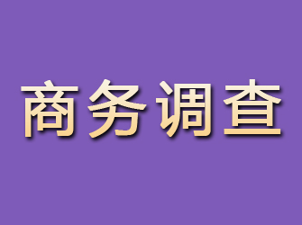 团城山商务调查